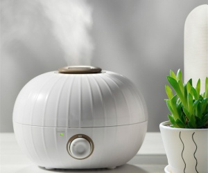 Увлажнитель воздуха на Новый год бабушке